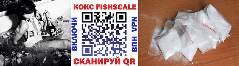 COCAIN Fish Scale  продажа наркотиков  ссылка на мегу   Пушкино 