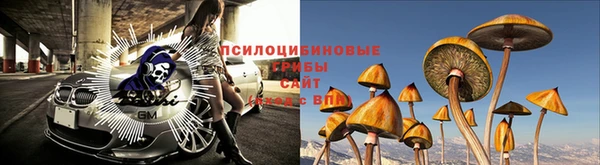 гидра Алзамай