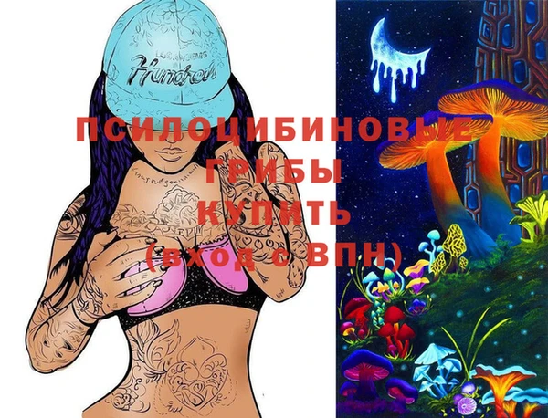 тгк Алексин