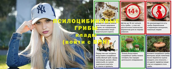 гидра Алзамай