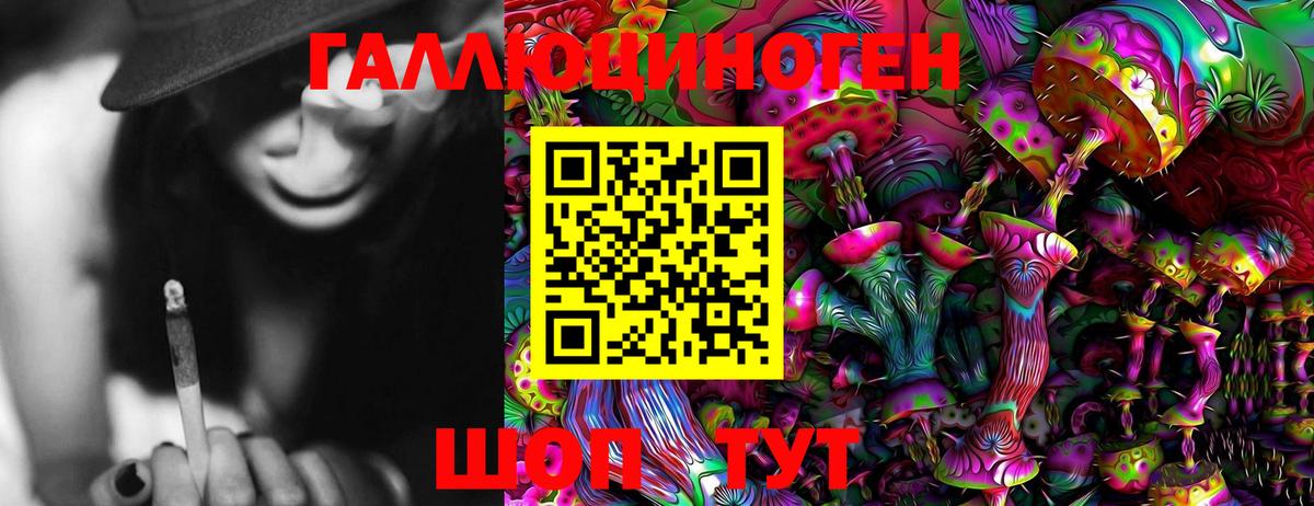 купить  цена  Вход с VPN  Пушкино  Галлюциногенные грибы Psilocybe 