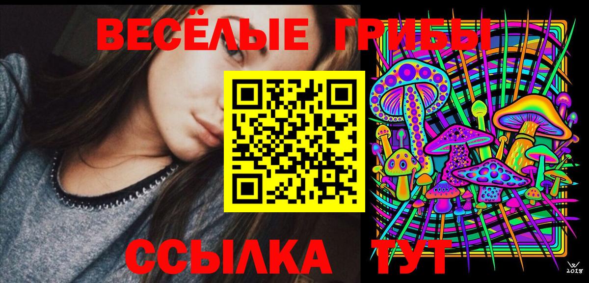 Галлюциногенные грибы Psilocybe Пушкино